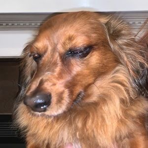 Meet your Posher, Avery